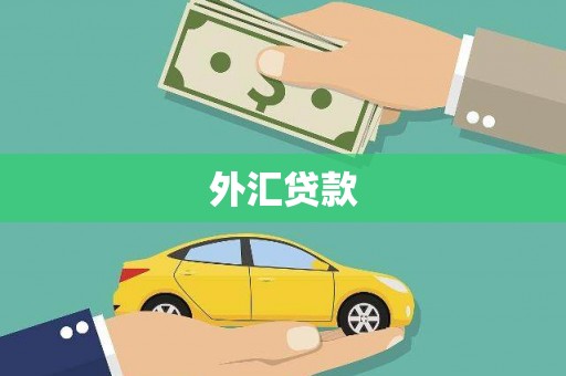 得荣外汇贷款