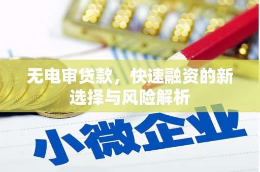 得荣无电审贷款，快速融资的新选择与风险解析