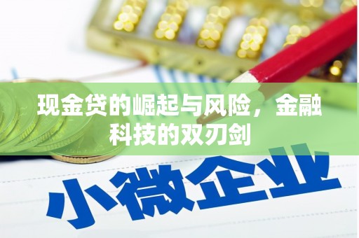 得荣现金贷的崛起与风险，金融科技的双刃剑