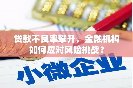 得荣贷款不良率攀升，金融机构如何应对风险挑战？