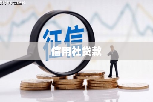 得荣信用社贷款