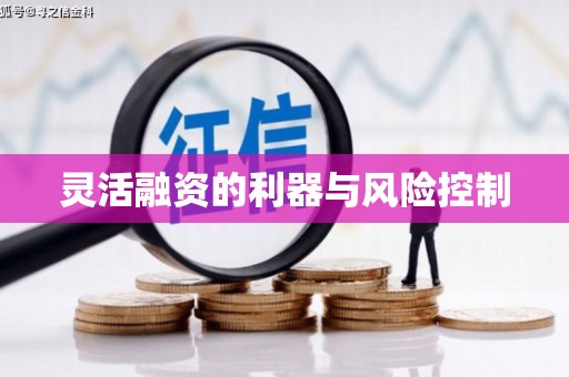 得荣灵活融资的利器与风险控制