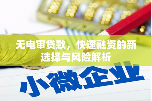 得荣无电审贷款，快速融资的新选择与风险解析