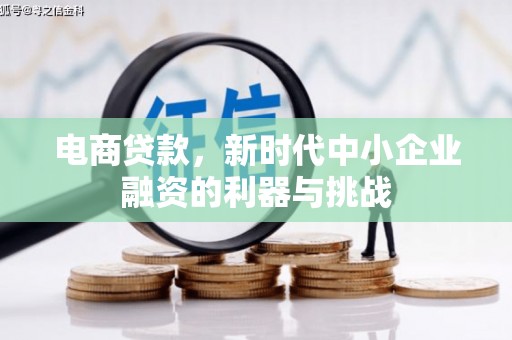 得荣电商贷款，新时代中小企业融资的利器与挑战
