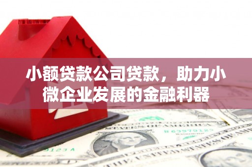 得荣小额贷款公司贷款，助力小微企业发展的金融利器