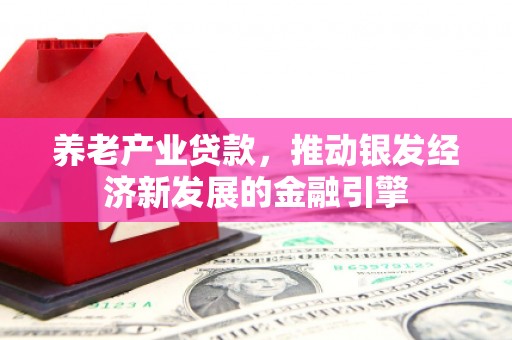 得荣养老产业贷款，推动银发经济新发展的金融引擎