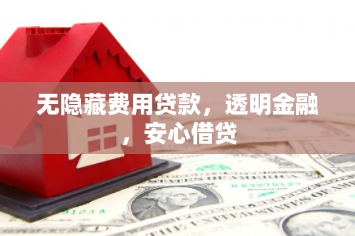 得荣无隐藏费用贷款，透明金融，安心借贷