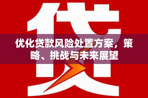 得荣优化贷款风险处置方案，策略、挑战与未来展望