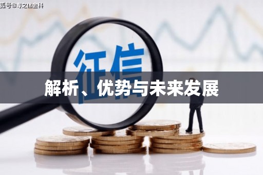 得荣解析、优势与未来发展