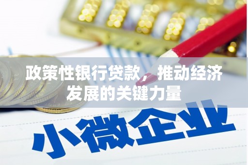 得荣政策性银行贷款，推动经济发展的关键力量