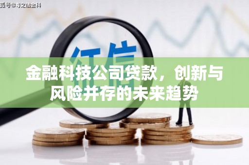 得荣金融科技公司贷款，创新与风险并存的未来趋势