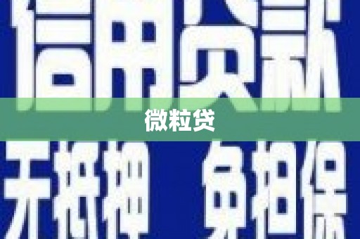 得荣微粒贷