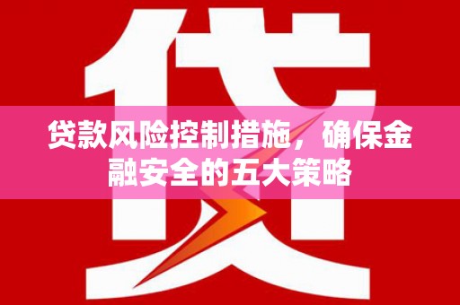 得荣贷款风险控制措施，确保金融安全的五大策略
