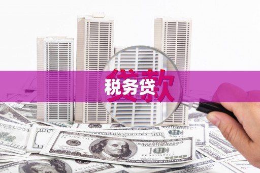 得荣税务贷
