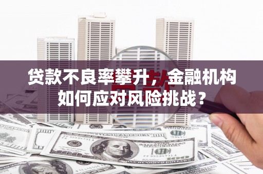得荣贷款不良率攀升，金融机构如何应对风险挑战？