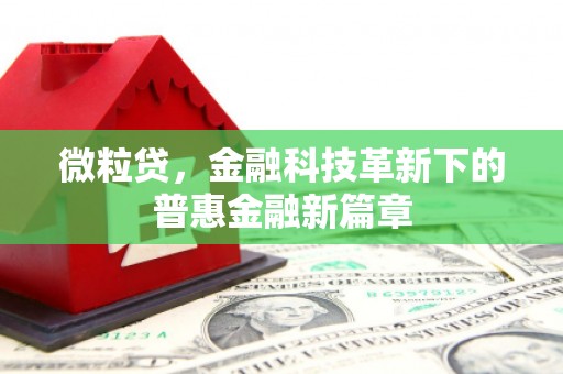 得荣微粒贷，金融科技革新下的普惠金融新篇章
