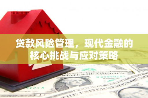 得荣贷款风险管理，现代金融的核心挑战与应对策略