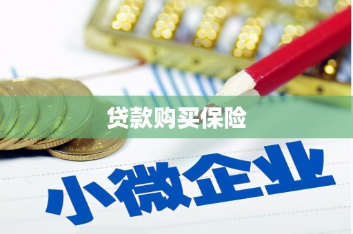 得荣贷款购买保险
