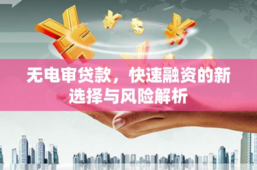 得荣无电审贷款，快速融资的新选择与风险解析