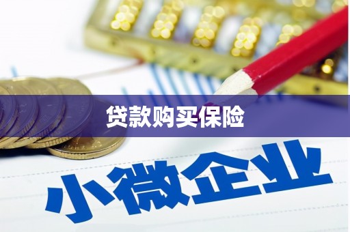 得荣贷款购买保险