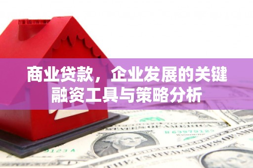 得荣商业贷款，企业发展的关键融资工具与策略分析