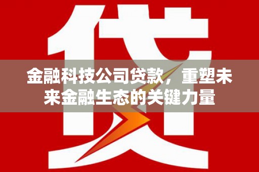 得荣金融科技公司贷款，重塑未来金融生态的关键力量