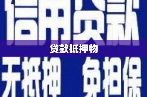 得荣贷款抵押物