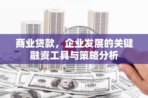 得荣商业贷款，企业发展的关键融资工具与策略分析