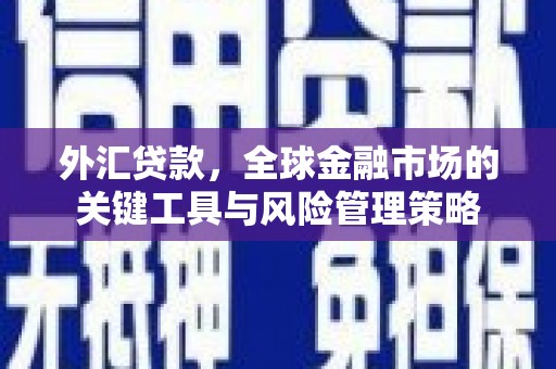 得荣外汇贷款，全球金融市场的关键工具与风险管理策略