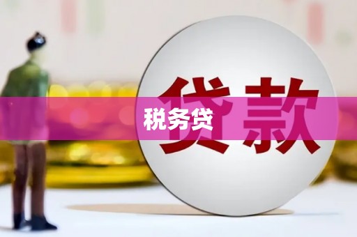 得荣税务贷