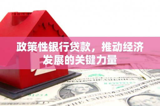 得荣政策性银行贷款，推动经济发展的关键力量