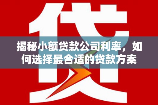 得荣揭秘小额贷款公司利率，如何选择最合适的贷款方案