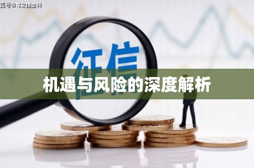 得荣机遇与风险的深度解析