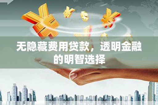 得荣无隐藏费用贷款，透明金融的明智选择