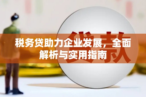 得荣税务贷助力企业发展，全面解析与实用指南