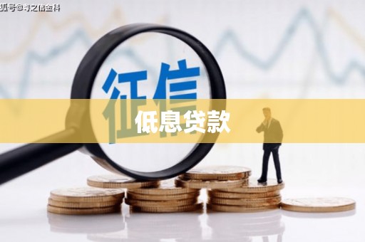 得荣低息贷款