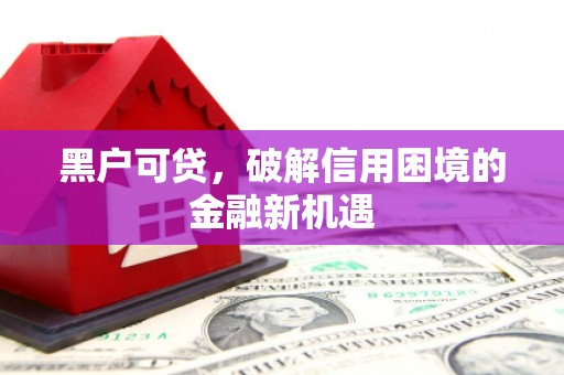 得荣黑户可贷，破解信用困境的金融新机遇