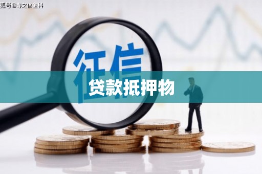 得荣贷款抵押物