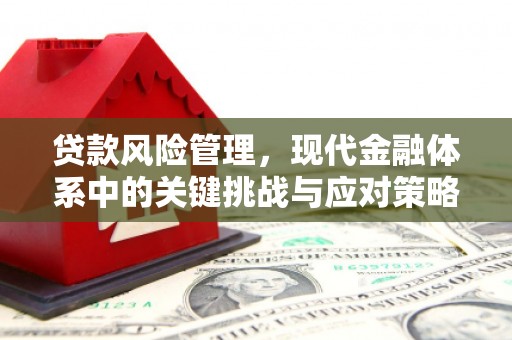 得荣贷款风险管理，现代金融体系中的关键挑战与应对策略