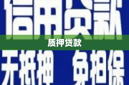 得荣质押贷款