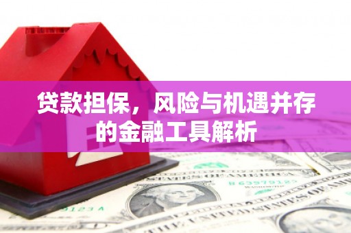 得荣贷款担保，风险与机遇并存的金融工具解析