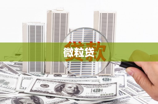 得荣微粒贷