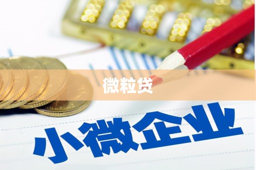 得荣微粒贷