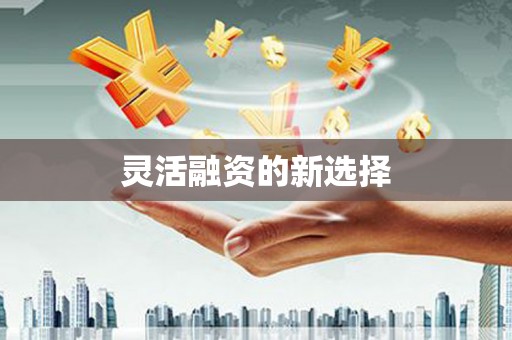 得荣灵活融资的新选择