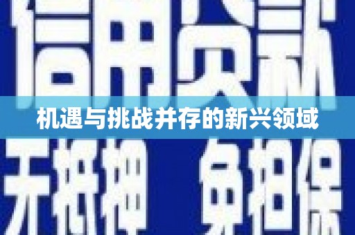 得荣机遇与挑战并存的新兴领域