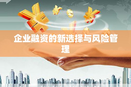 得荣企业融资的新选择与风险管理