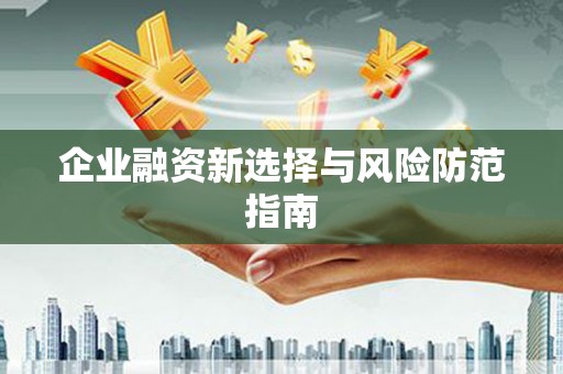 得荣企业融资新选择与风险防范指南