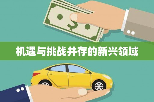 得荣机遇与挑战并存的新兴领域