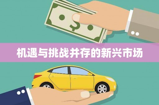 得荣机遇与挑战并存的新兴市场