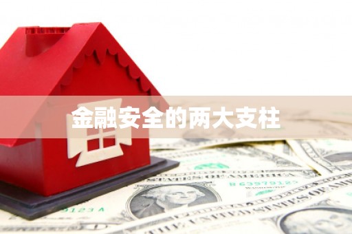 得荣金融安全的两大支柱